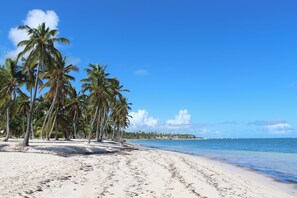 Beach - Pleasant 2-bedroom apartment with AC in Punta Cana (Punta Cana)