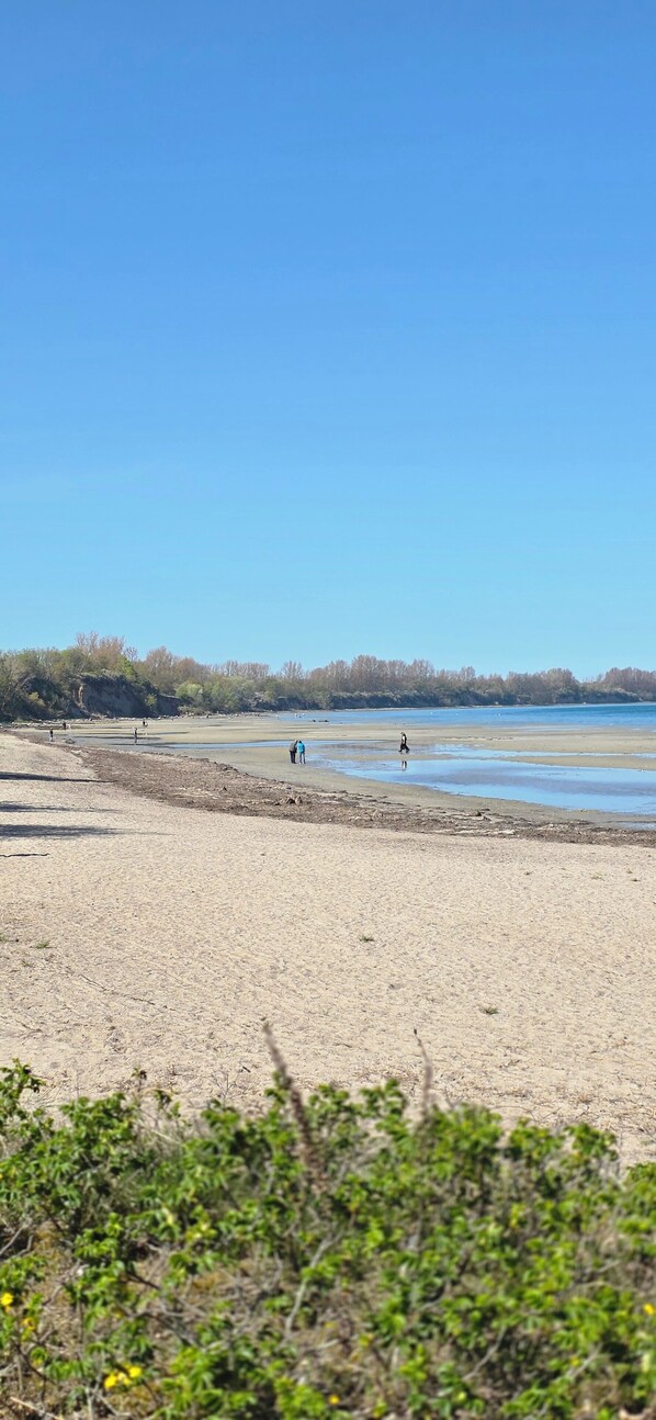 Ein Strand mit blauem Himmel, sandigem Ufer und vereinzelter Vegetation.
