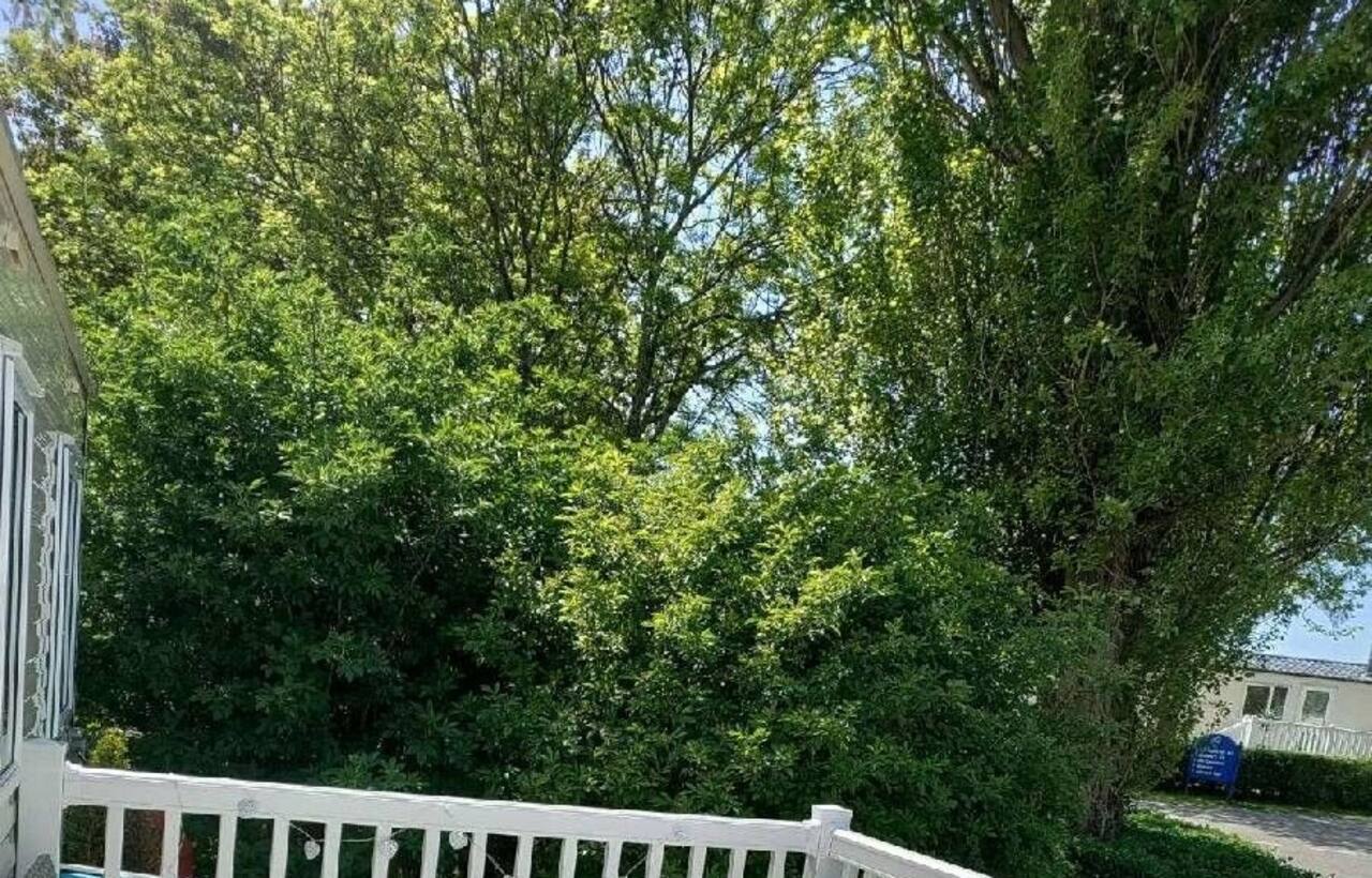 Marton Mere Holiday Village - Holiday Accommodation 17751