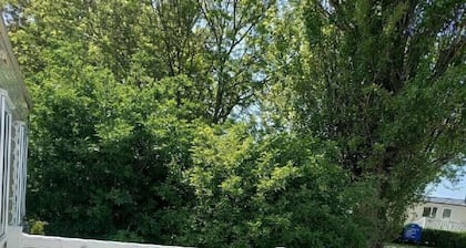 Marton Mere Holiday Village - Holiday Accommodation 17751