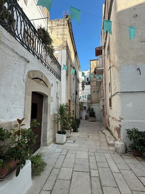 A narrow alleyway with white buildings, potted plants, and green triangular flags.