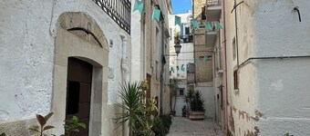 La Casa dell' Arco Nr 45/47 Entire house in historic center