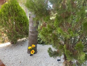 Oklassificerad bild, 4 av 18, knapp