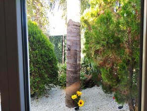 Oklassificerad bild, 5 av 18, knapp