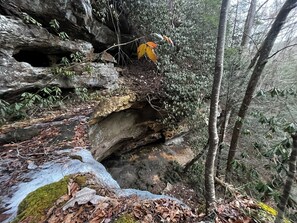 Unclassified image, 4 of 30, button