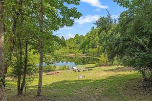 Property grounds - NEW! Spacious Farmhouse Cabin, 30 acres w/ Pond, Waterfall, Trails (Zoe)