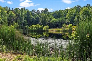 Unclassified image, 4 of 30, button - NEW! Spacious Farmhouse Cabin, 30 acres w/ Pond, Waterfall, Trails (Zoe)