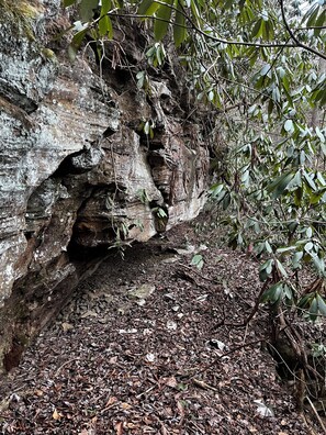 Unclassified image, 5 of 30, button - NEW! Spacious Farmhouse Cabin, 30 acres w/ Pond, Waterfall, Trails (Zoe)