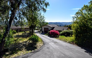 Nicht klassifiziertes Bild, 5 von 43, Schaltfläche