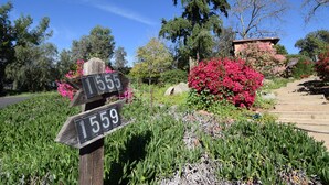 A garden with wooden signs indicating numbers 1555 and 1559, surrounded by lush greenery and flowering plants.