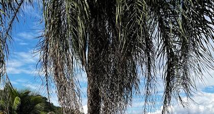 SĂtio Encanto Brumadinho - Lodging near INHOTIM, ideal for families.