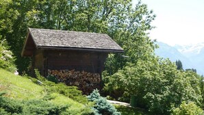 Eine rustikale Holzhütte mit geneigtem Dach, umgeben von üppiger Vegetation und Bäumen.