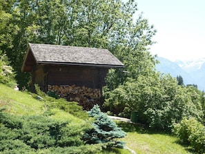 Miscellaneous - Chalet with exceptional view of Mont Blanc! (PASSY)