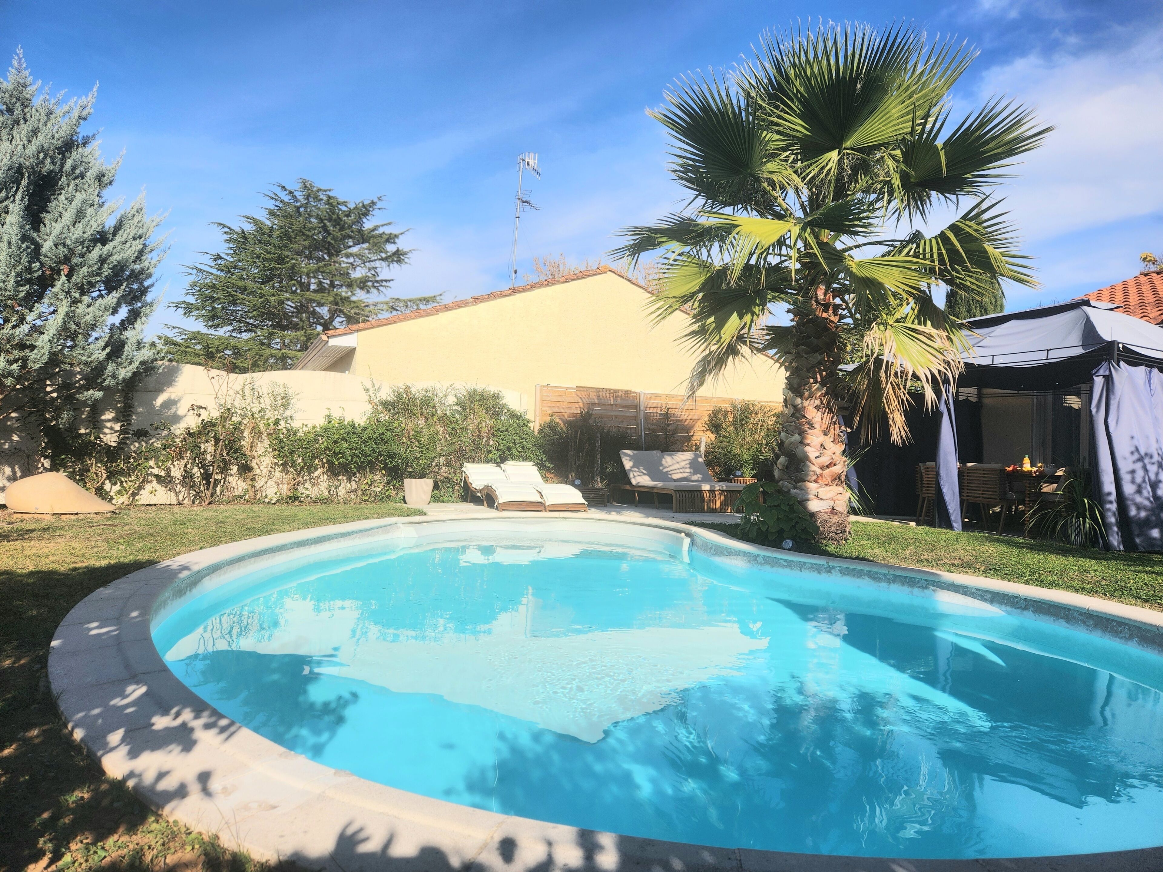 A swimming pool with lounge chairs, a palm tree, and a covered patio area.