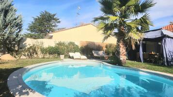 A swimming pool with lounge chairs, a palm tree, and a covered patio area.