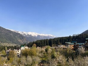 Unclassified image, 4 of 31, button - YOLO Social (Manali)