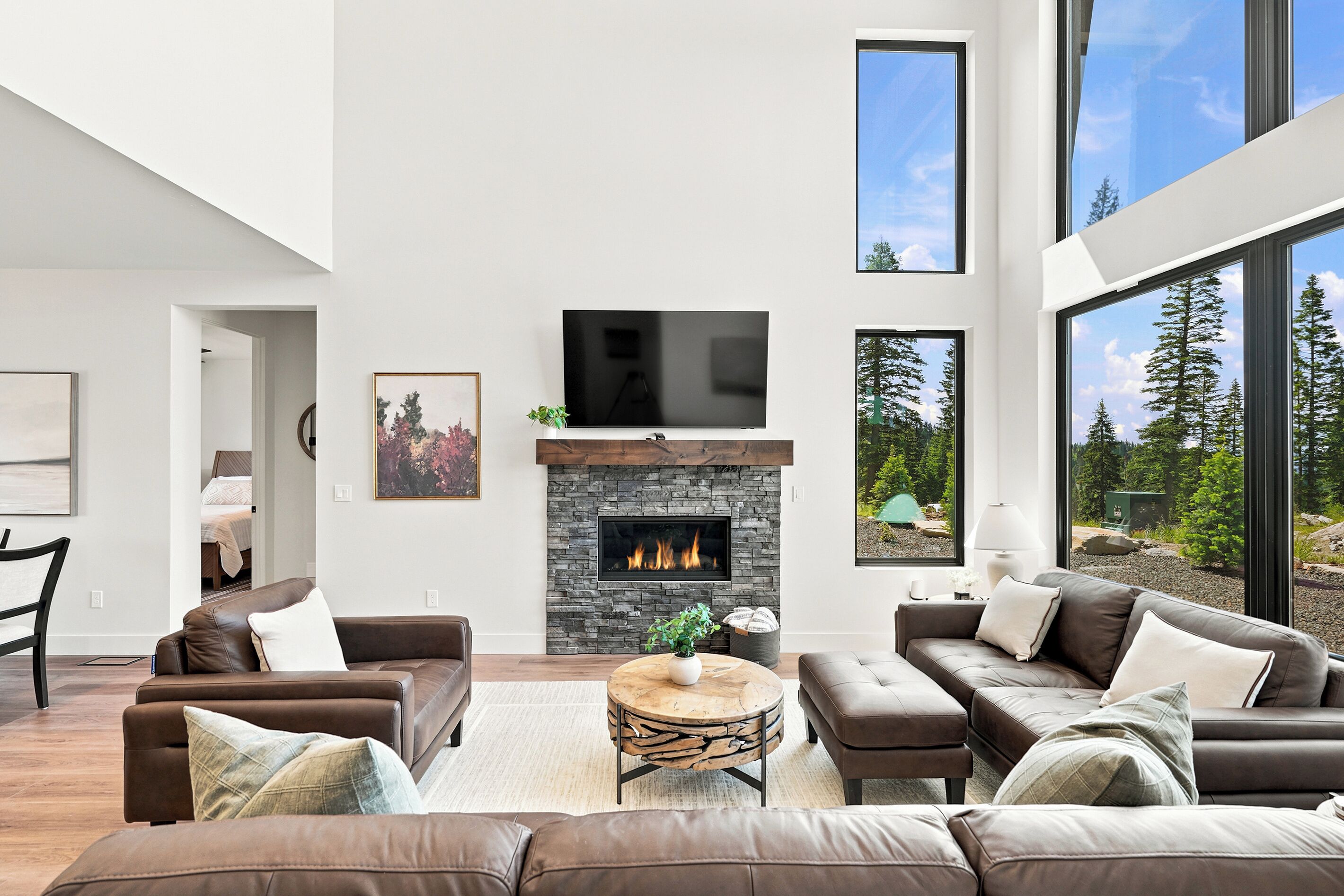 Smart-TV, Kamin
