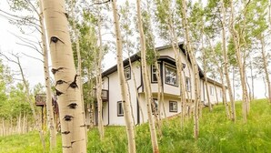 A two-story house surrounded by birch trees on a grassy hill.