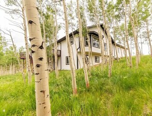 Exterior - Spacious Ski Chalet W Indoor Hotub, Views & Sep Private Suite! (Jefferson)
