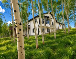 A modern two-story house surrounded by birch trees on a grassy slope. - Spacious Chalet W Indoor Hot Tub, Views & Private Suite (Jefferson)