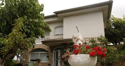 House with pool and barbecue