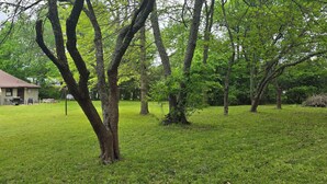 Une cour verdoyante avec des arbres et une maison.