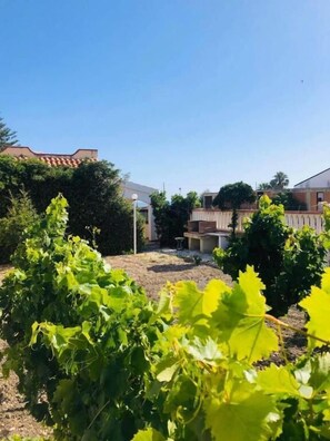 Unclassified image, 3 of 23, button - BLU MARZAMEMI ROOMS (Marzamemi)