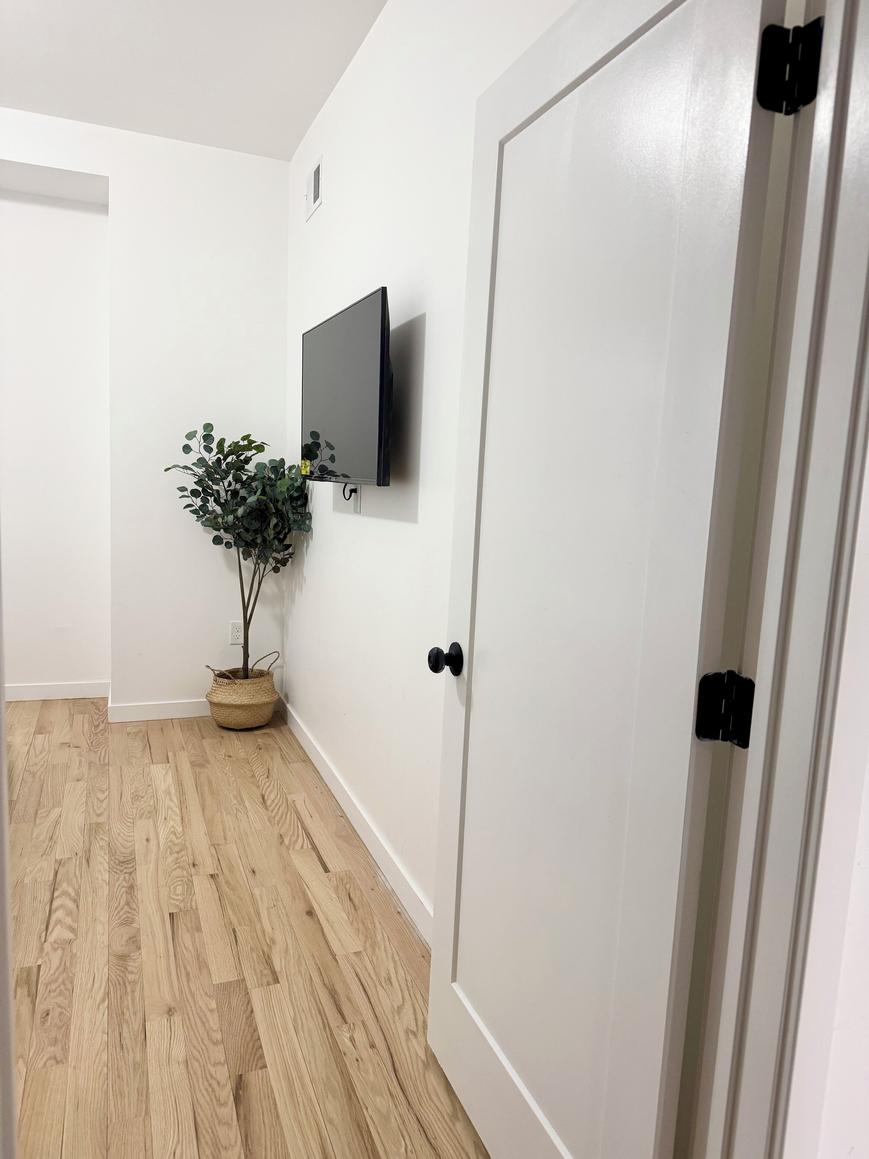 Um corredor com piso de madeira, porta branca, televisão montada e um vaso de planta.