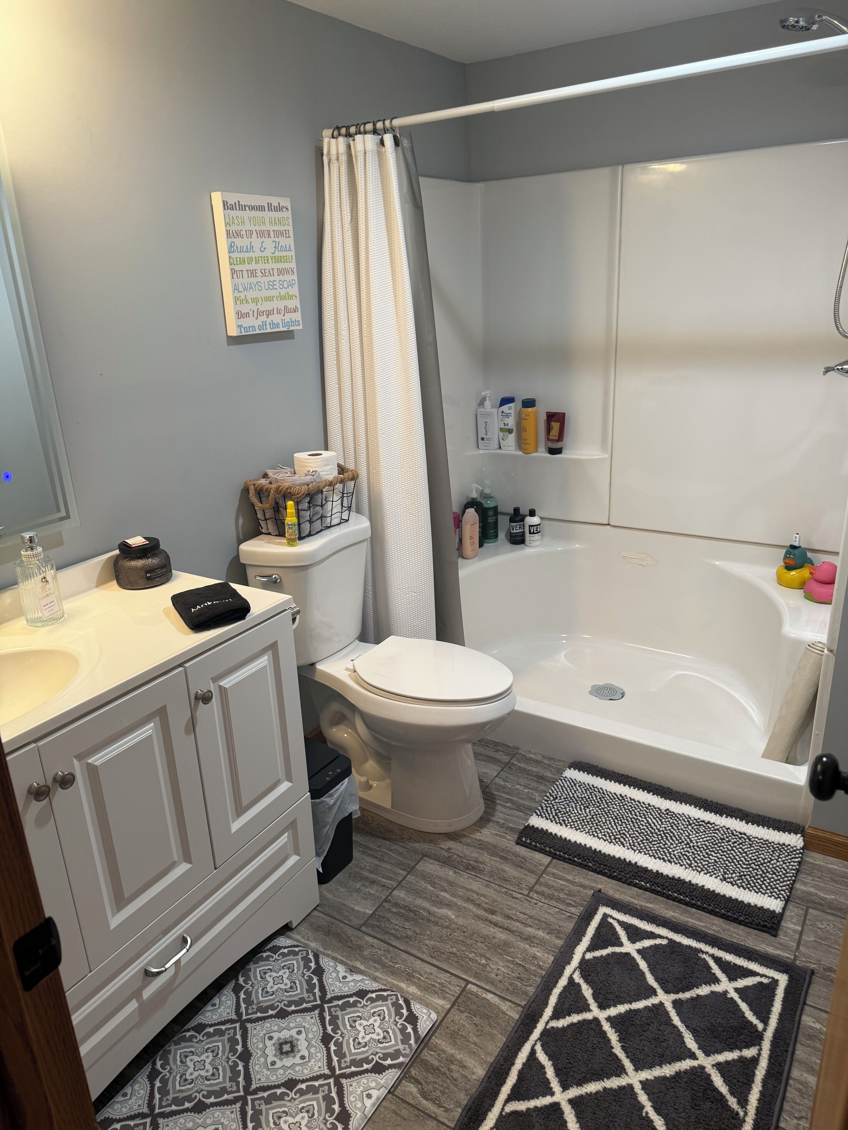 Shower, hair dryer, bidet, towels