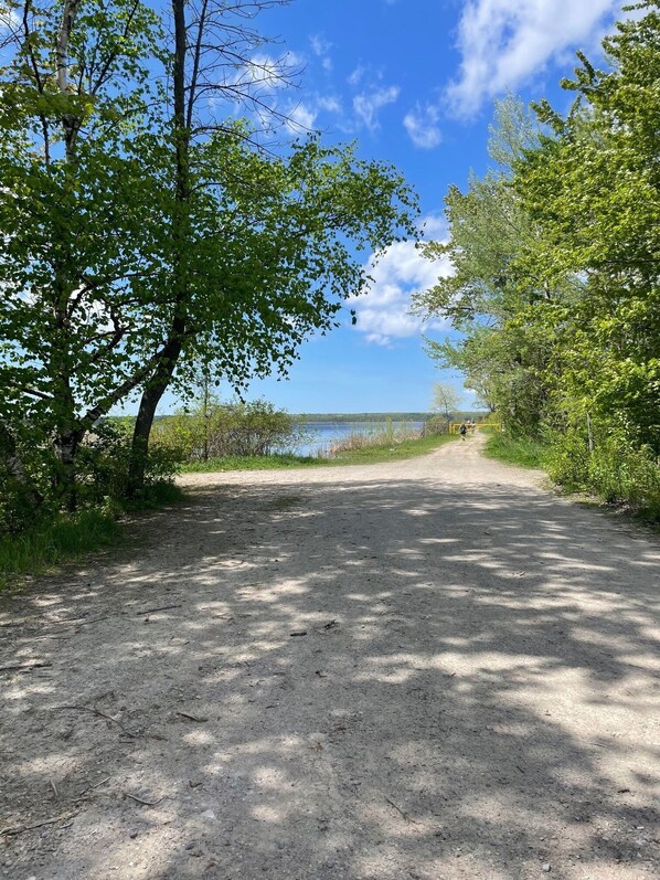 A dirt path leading to a body of water, surrounded by trees and greenery. - The Quinta at Balm Beach (Perkinsfield)