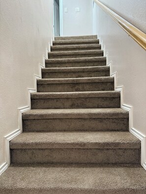 Un escalier recouvert de moquette, avec des bordures blanches et une main courante sur le côté droit.