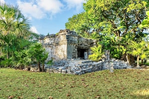 Property grounds - Beachside Studio in Playacar Fase 1 – 50m to the Caribbean (Playa del Carmen)