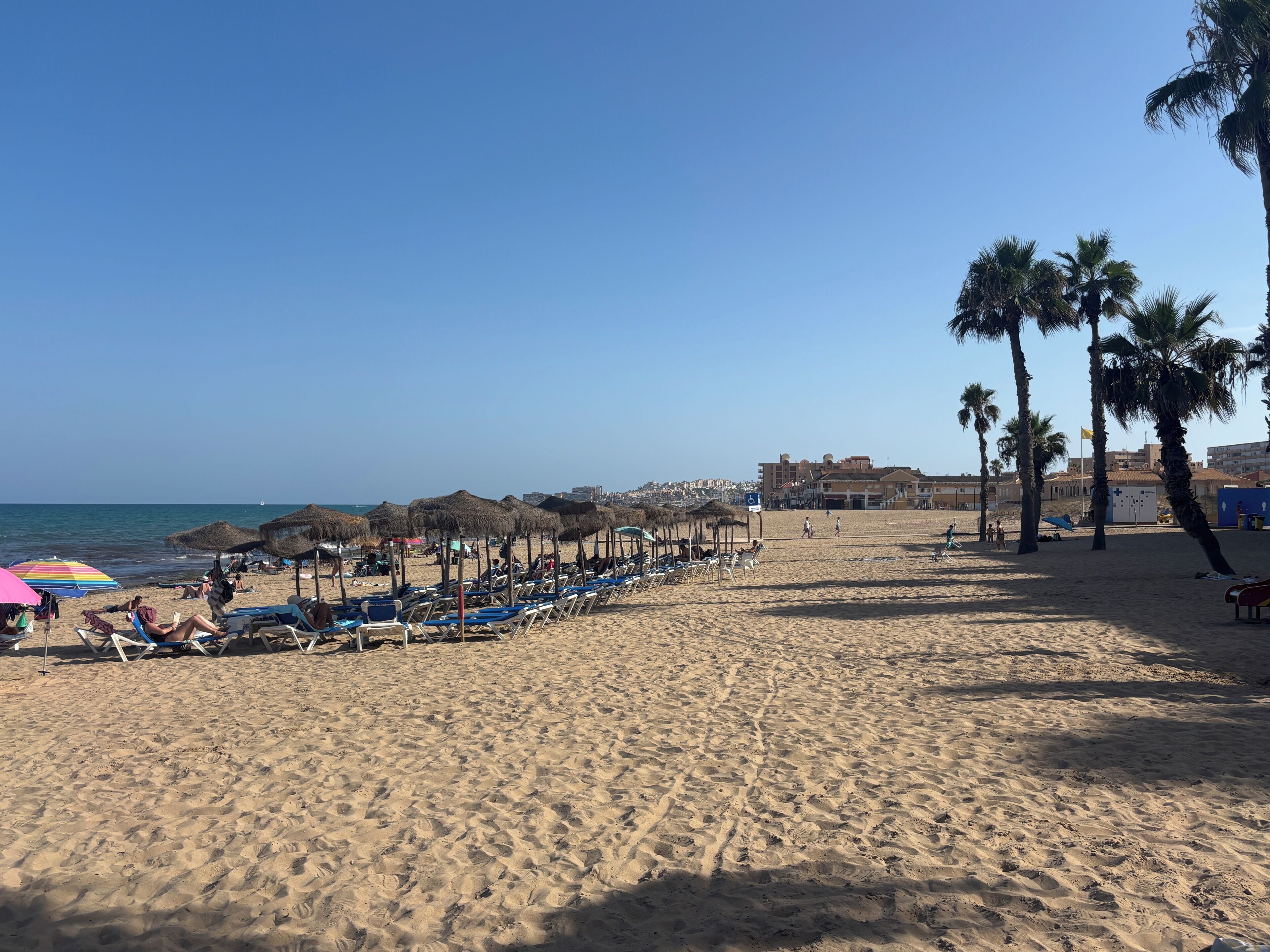A beach with rows of sun loungers and umbrellas, palm trees, and a clear sky.