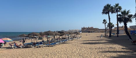 A beach with rows of sun loungers and umbrellas, palm trees, and a clear sky.