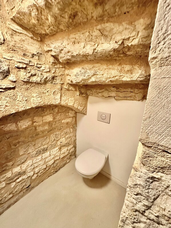 Shower, toilet paper - Charming gîte in the Quercy (Montdoumerc)