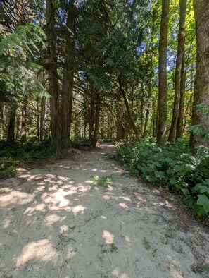 Immagine non classificata, 5 di 42, pulsante