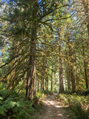 Immagine non classificata, 2 di 42, pulsante