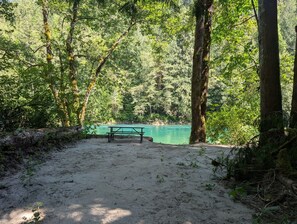 Immagine non classificata, 3 di 42, pulsante