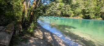 American Alps Cabin-Beach, Riverfront, EV charger, 2B/1Ba, North Cascade, Diablo