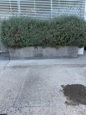 Exterior detail - Modern Apartment in Premium Zone (San Luis Potosí)