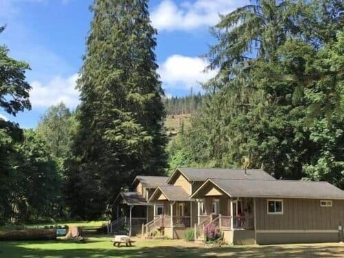 Tranquil Cabin 1 “Spruce”| Riverside | Near Olympic NP
