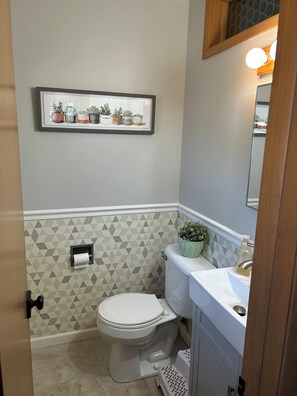 Hair dryer, towels, soap, toilet paper