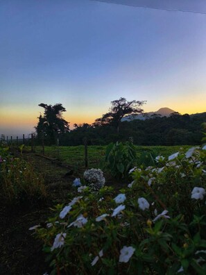 صورة غير مصنفة، 2 من 13، زرّ