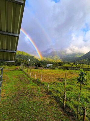 صورة غير مصنفة، 3 من 13، زرّ