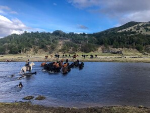 Unclassified image, 5 of 41, button - Windy River Ecolodge  (Magallanes y la Antártica Chilena)
