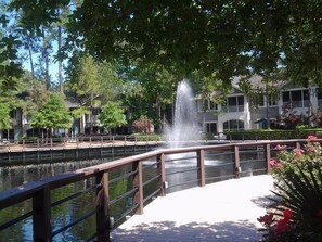 Property grounds - Island Links - 3BR/2BA - Great Pool Complex! (Hilton Head Island)