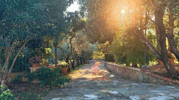 Parco della struttura