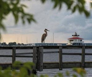 Immagine non classificata, 5 di 13, pulsante