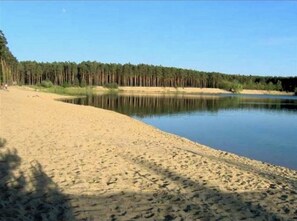 Une plage de sable bordée d’un lac paisible, le tout entouré d’une forêt dense.