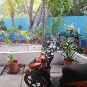 Immagine non classificata, 5 di 11, pulsante